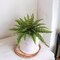 4-Pack: 28" UV-Resistant Boston Fern Plants with 27 Silk Fronds - Lifelike Greenery for Indoor & Outdoor Decor, Floral Home by Artificial Flowers